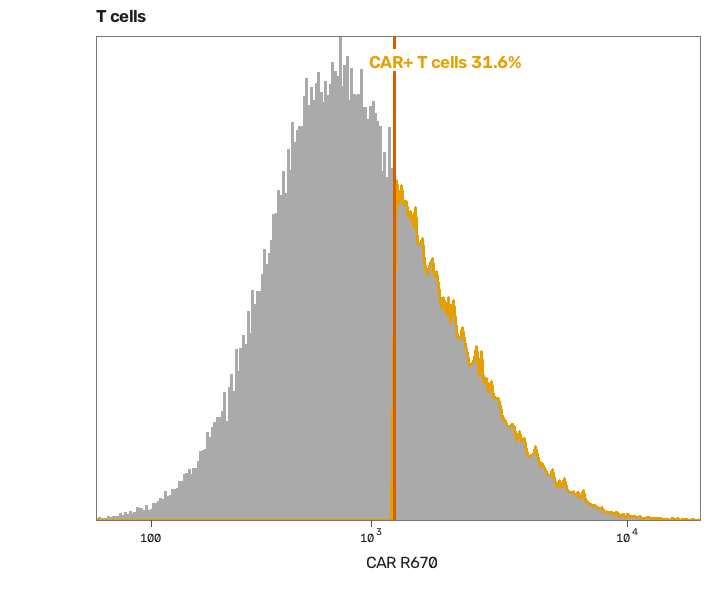 A histogram of the CAR channel on T cells, with the cut and the 31.6% above it in orange.