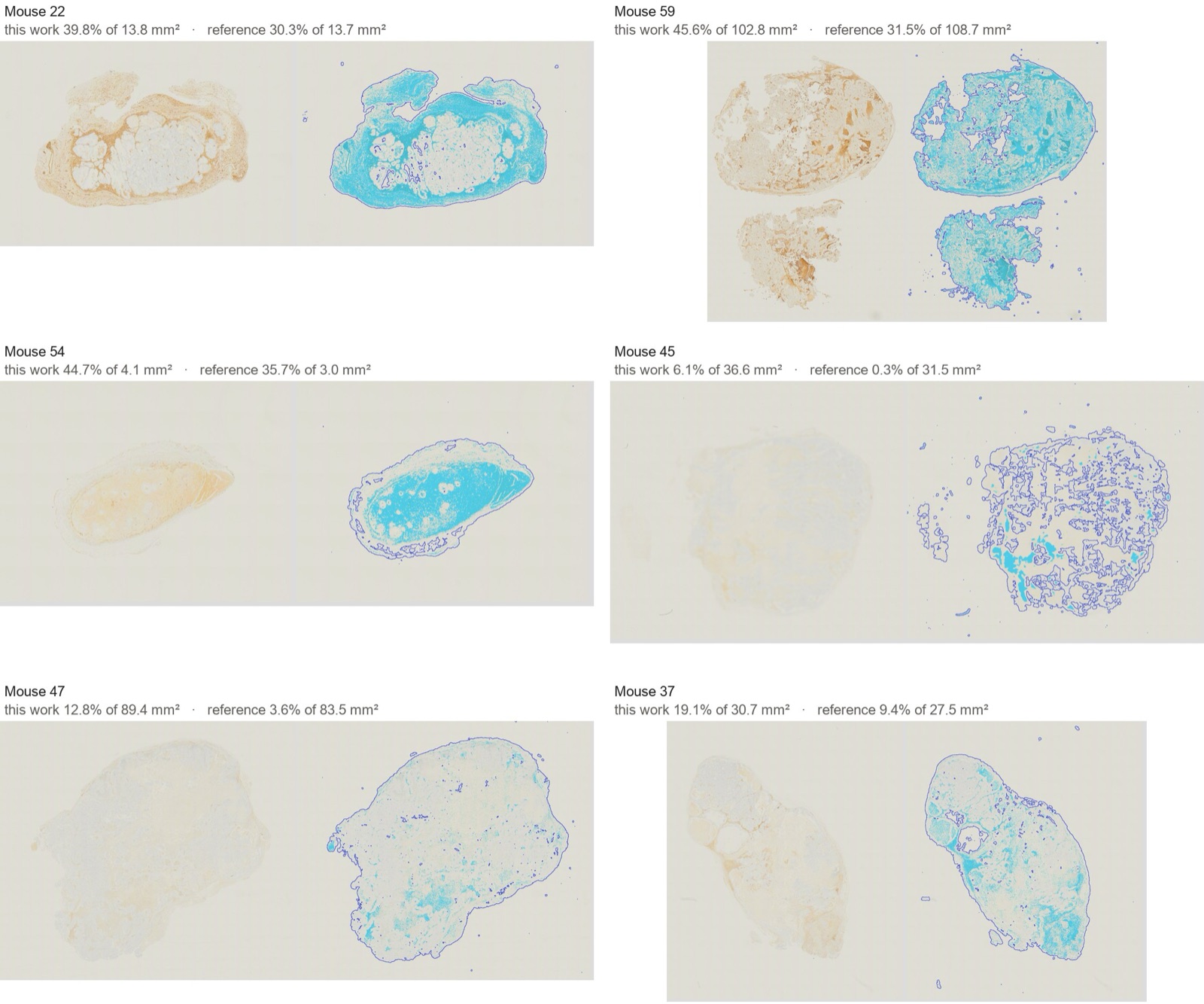 Six slides, each beside the same slide with our positive pixels, with both analyses' numbers above each pair.